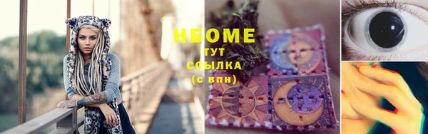 прущие грибы Баксан