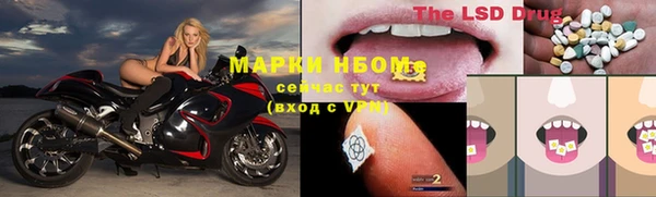 прущие грибы Баксан