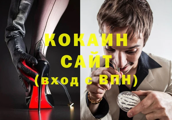 прущие грибы Баксан