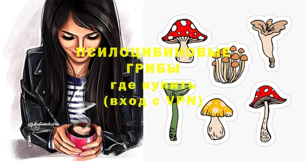 2c-b Белокуриха